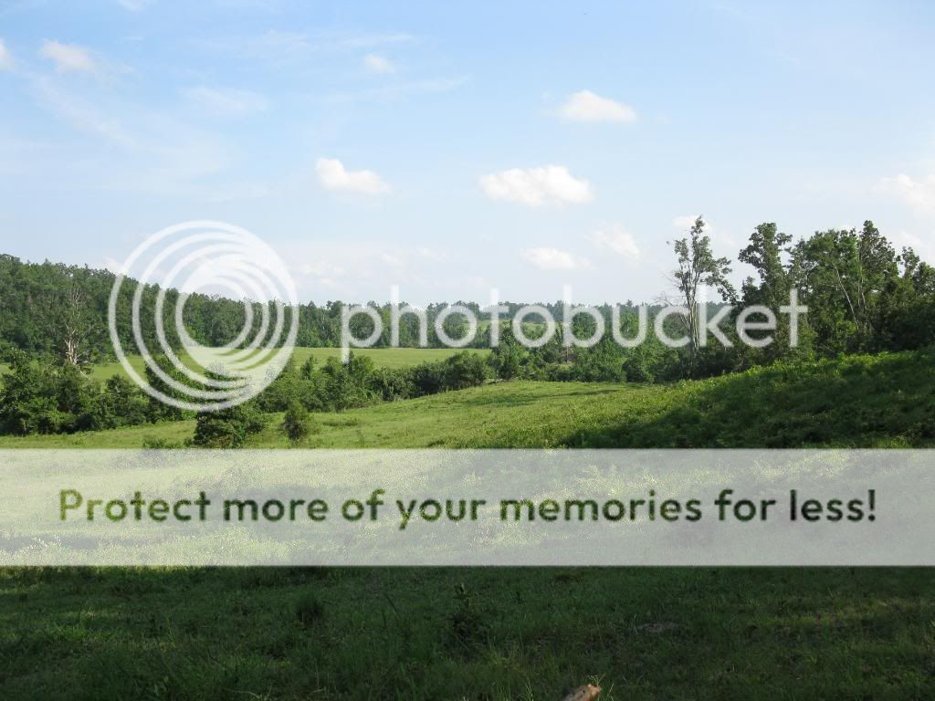 trying to post pics backside of farm - Countryside Families