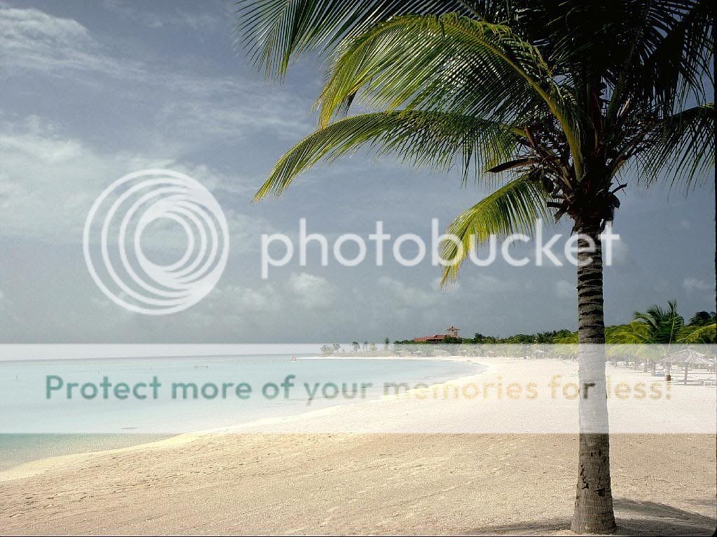 beach Pictures, Images and Photos