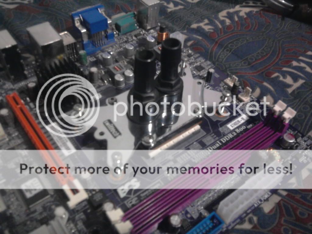 http://i713.photobucket.com/albums/ww133/eshizero/RL/Foto0399.jpg