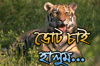 Bangla Photo Picture