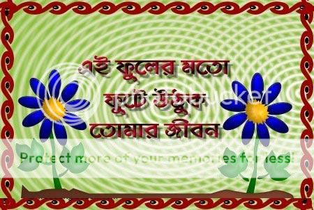 Bangla Photo Picture