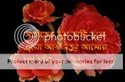 Bangla Photo Picture
