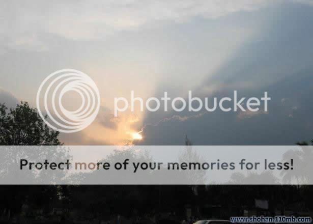 BD Nature Photo Picture