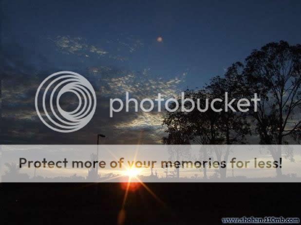 BD Nature Photo Picture