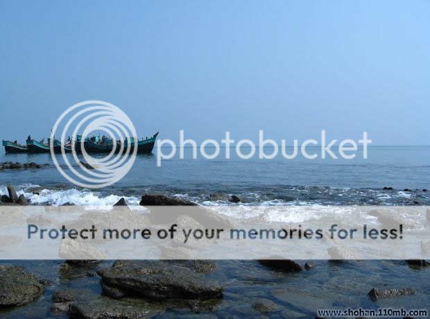 BD Nature Photo Picture