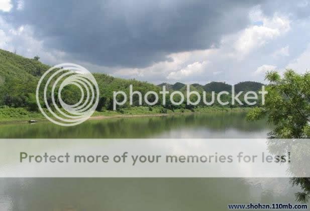 BD Nature Photo Picture