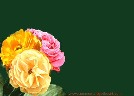 Shuvo Jonmodin Photo Picture