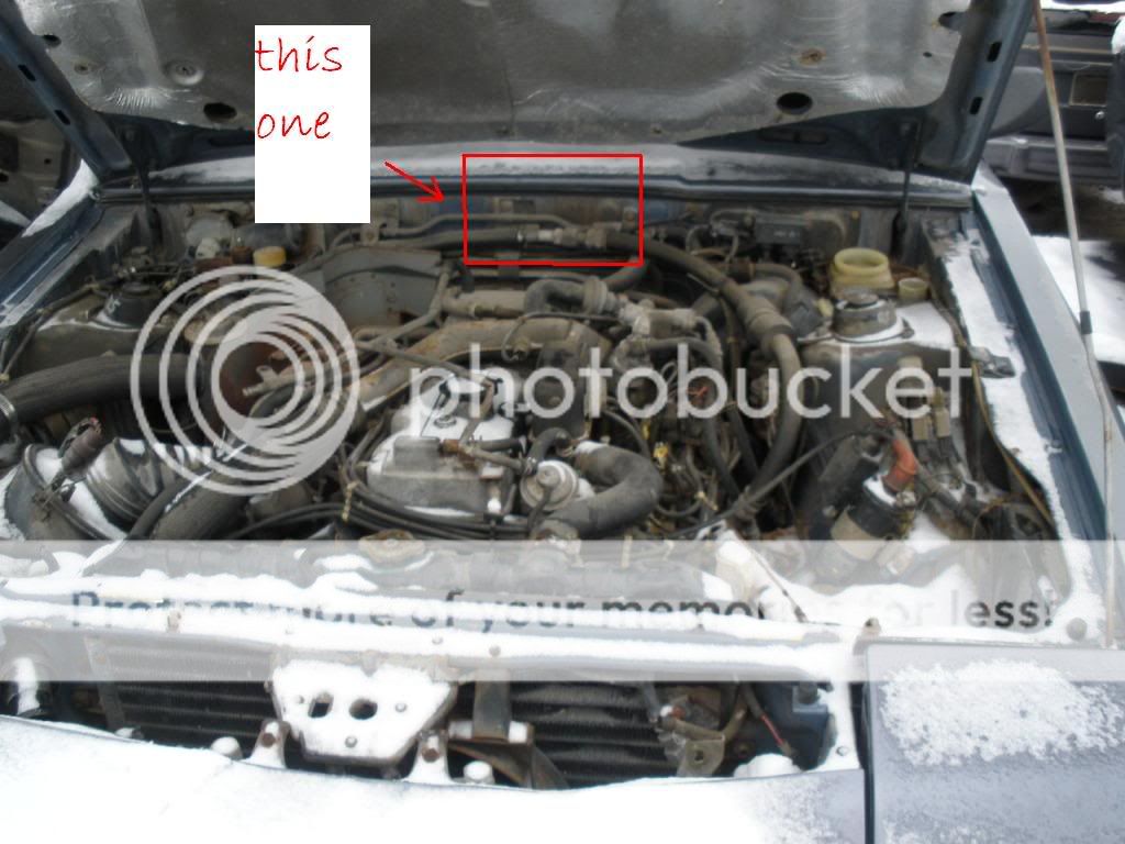Posted Image
