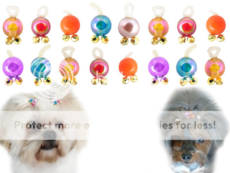 Jóia Pet